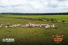 DJI_0151