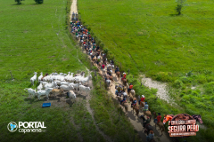 DJI_0991