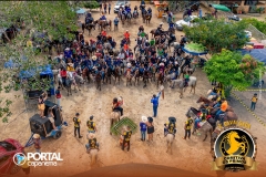 DJI_0119
