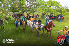 DJI_0569