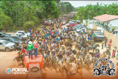DJI_0873