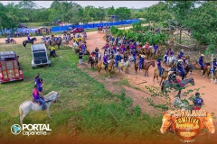 DJI_0312