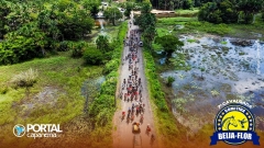 DJI_0455
