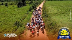 DJI_0460
