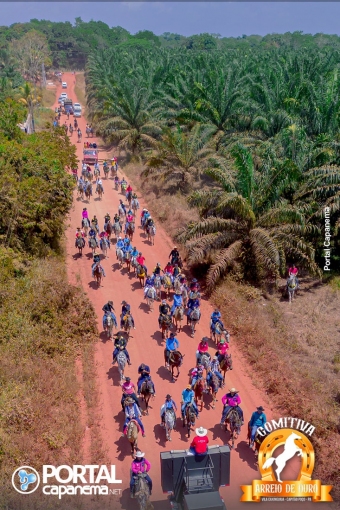 DJI_0245