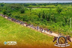 DJI_0776