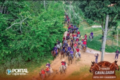 DJI_0488