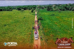 DJI_0501