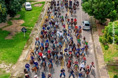 DJI_0896