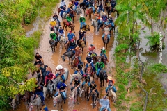 DJI_0921