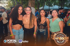DSC_4269
