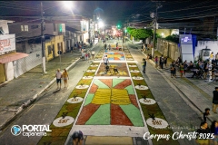 DJI_0828