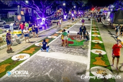 DJI_0838