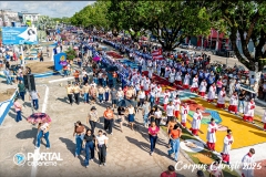 DJI_0873