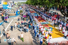 DJI_0875