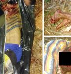 Homem morto a golpes de terçado é encontrado em Villa Fátima próximo a Capanema