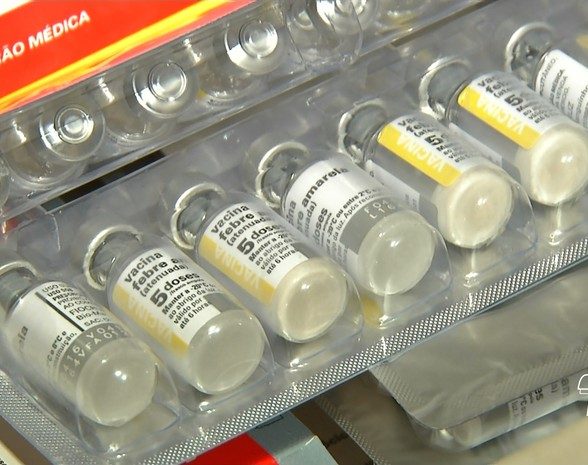 População de Capanema deverá ser vacinada contra febre amarela.