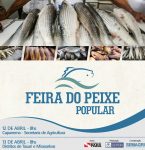 Feira do Peixe popular em Capanema vai garantir produto mais barato na Semana Santa