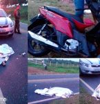 Colisão com animal deixa uma vá­tima fatal na PA-242 Próximo a Capanema