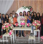 Cá¢mara Municipal de Capanema faz homenagem ao dia Internacional da Mulher