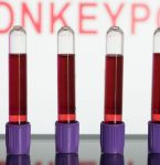 Vará­ola dos macacos: entenda a transmissão, os sintomas e a vacina