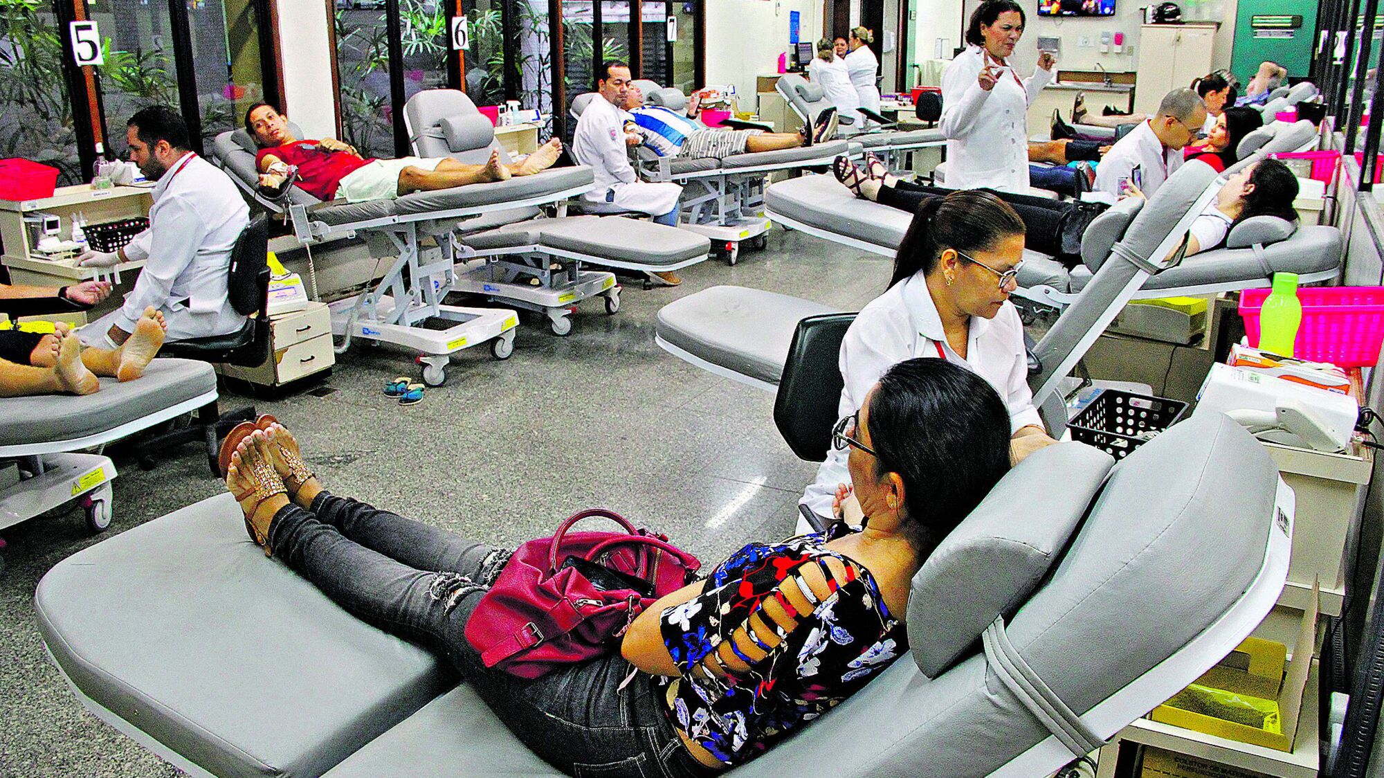 Concursos públicos ofertam mais de 110 vagas no Pará