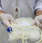 Estado tem 140 mil cadastros de doadores de medula óssea
