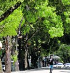 Governo lança edital para 136 vagas na Semas nesta segunda