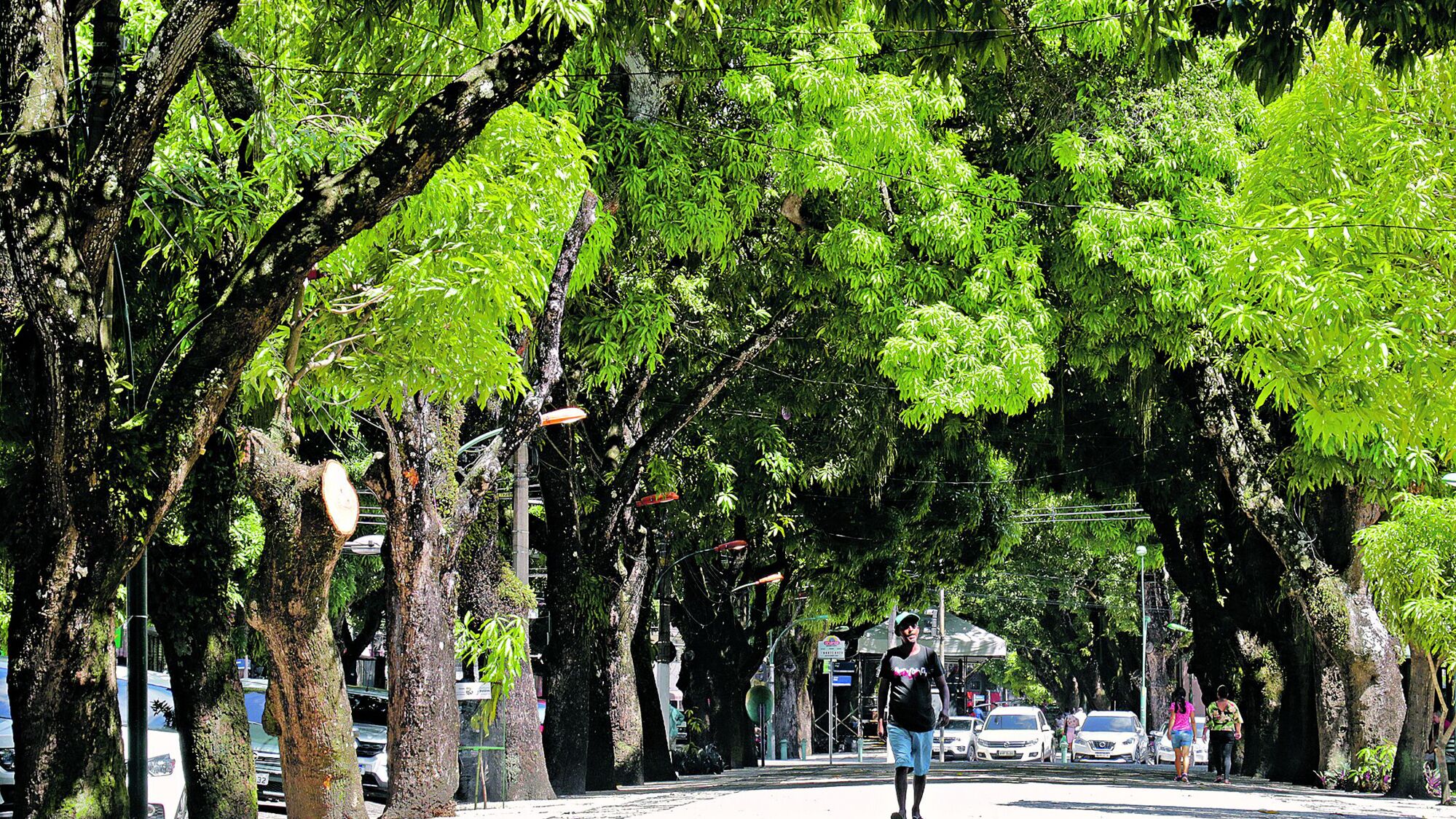 Governo lança edital para 136 vagas na Semas nesta segunda