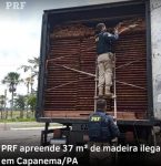 PRF apreende caminhão com madeira ilegal em Capanema-PA