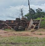 Carreta com bois tomba na BR-010 em Irituia