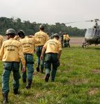 IBAMA abre concurso com vagas no Pará. Salários até R$ 5.208