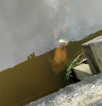 Corpo de homem é encontrado às margens da Avenida Jarbas Passarinho – Centenário, em rio que corta a via.