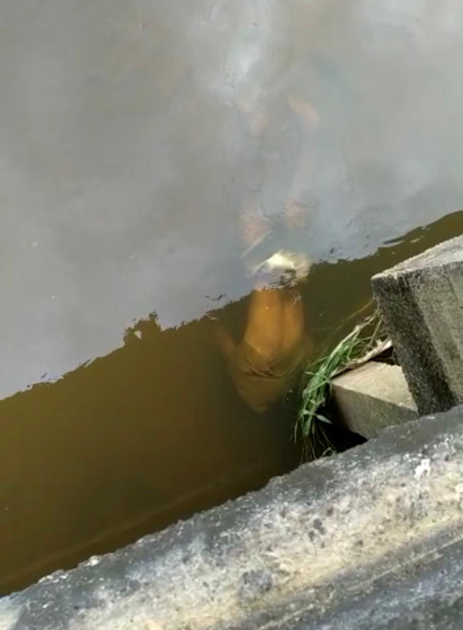 Corpo de homem é encontrado às margens da Avenida Jarbas Passarinho – Centenário, em rio que corta a via.