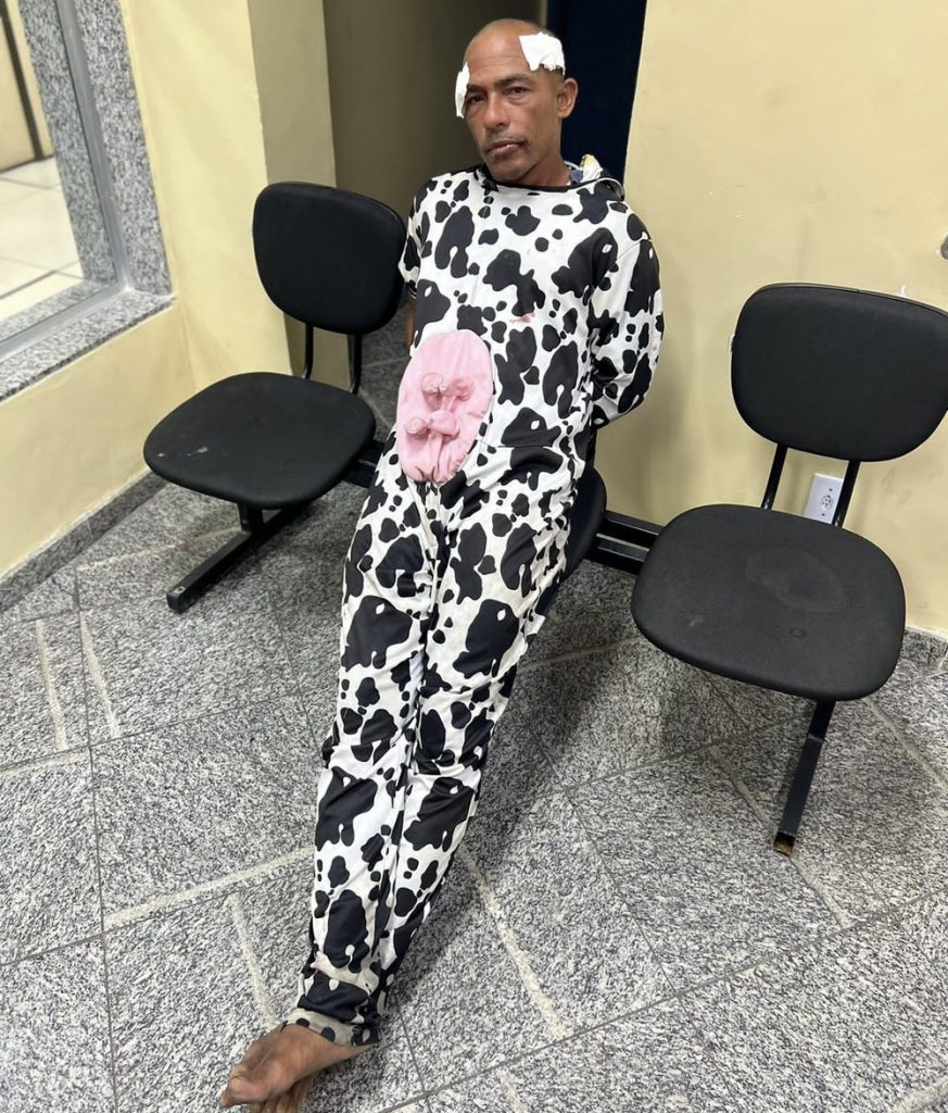 Homem vestido de ‘vaca’ tenta furtar mochila e acaba preso, no Rio de Janeiro
