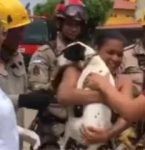 Bombeiros resgatam cadela presa em edifício que desabou em PE
