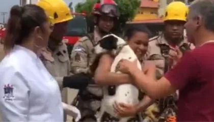 Bombeiros resgatam cadela presa em edifício que desabou em PE