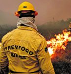 Inscrições abertas para processo seletivo Ibama; há vagas no Pará