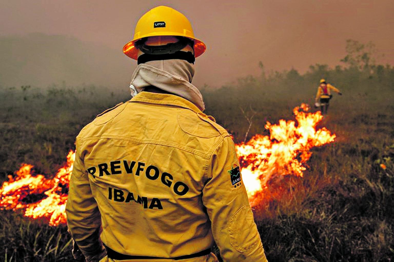 Inscrições abertas para processo seletivo Ibama; há vagas no Pará