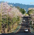 Prefeitura de Parauapebas lança edital para concurso público;