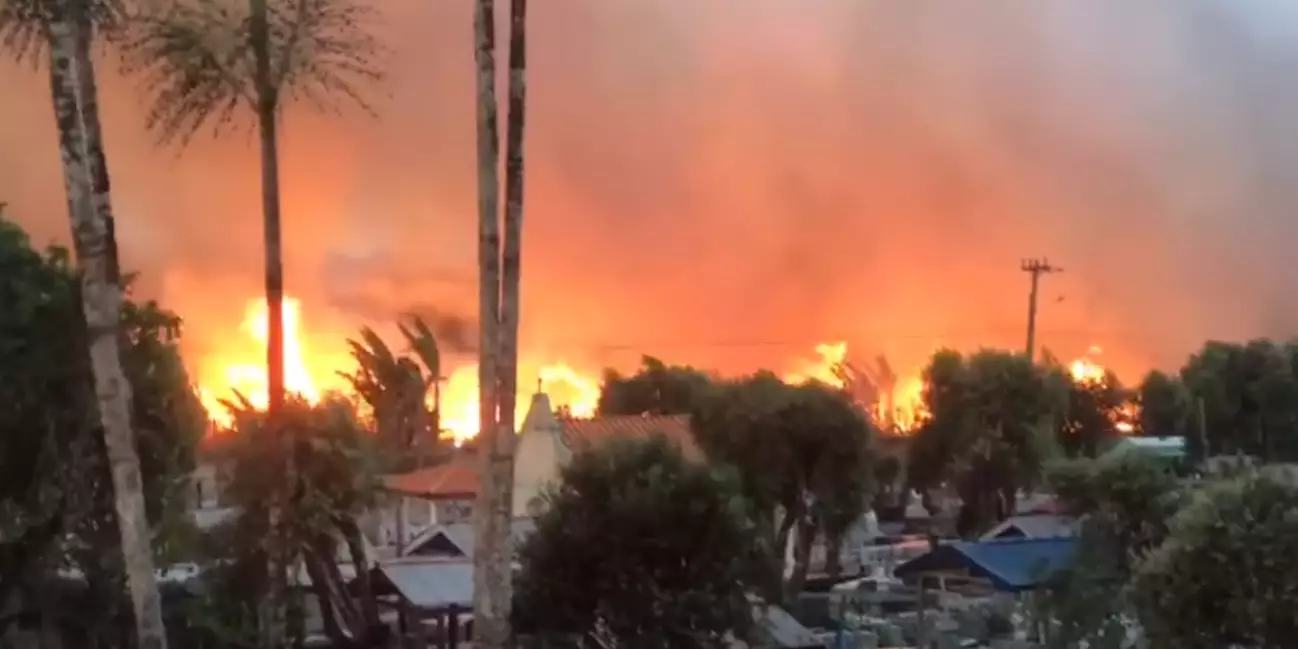 Incêndio de grandes proporções atinge área de mata próxima de cemitério de Cametá