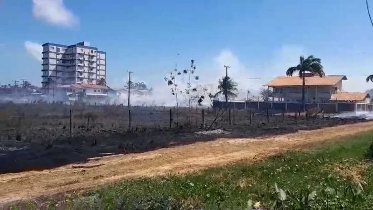 Queimada devasta área verde em bairro de Salinópolis