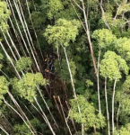 Polícia localiza helicóptero que estava desaparecido há 12 dias