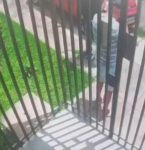 Vídeo registra, em plena luz do dia, assalto a mão armada contra idoso que teve joias e dinheiro roubados, em Belém