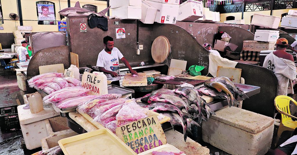 Peixes: cerca de 38 espécies são vendidas no Ver-o-Peso