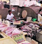 Peixes: cerca de 38 espécies são vendidas no Ver-o-Peso