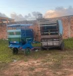 Justiça proíbe uso de carroças com tração animal na Praia de Ajuruteua, em Bragança, no Pará