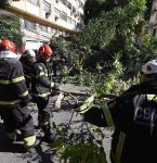 Prefeitura diz que responsabilizará empresa que realiza poda de árvores após acidente em Belém