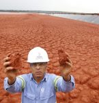 Inscrições para Programa de Estágio com 120 vagas no Pará encerram nesta quinta-feira