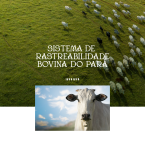 Pará avança com programa pioneiro de rastreabilidade animal